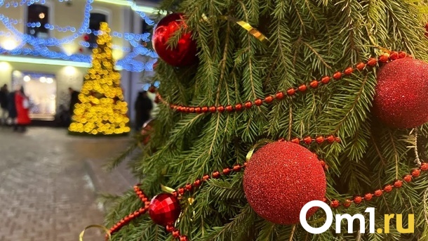 Праздники закончились: как утилизировать ёлку после Нового года