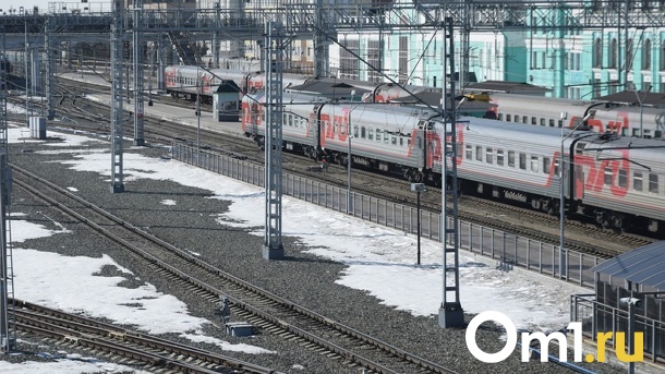 В Омской области с 1 января не будут ходить три электрички