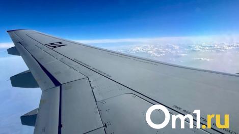 У самолёта, летевшего в Омск из Якутии, отказал автопилот