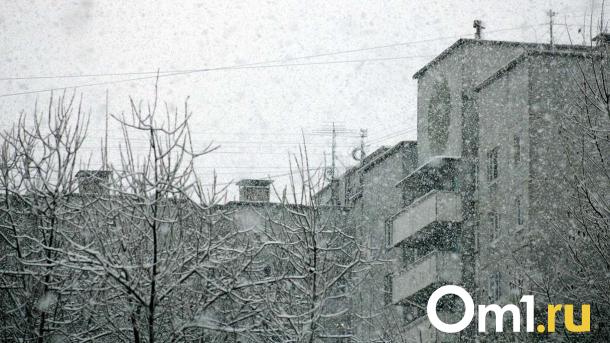Городские службы ликвидируют последствия сильного ветра в Новосибирске