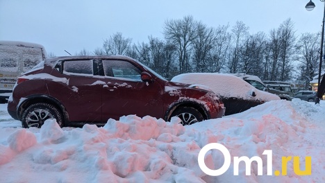 На руку пропойцам. Эксперт назвал риски покупки машины на материнский капитал