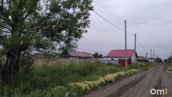 Омичку восхитили редкие «мохнатые яйца»