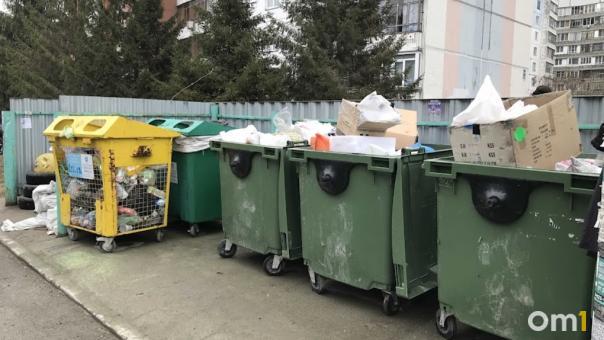«Арктика Сити» возобновит вывоз раздельного мусора в Новосибирске