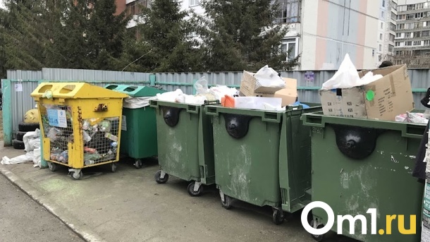 «Арктика Сити» возобновит вывоз раздельного мусора в Новосибирске