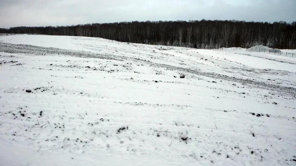 В Новосибирске и Барабинске ликвидировали две незаконные свалки