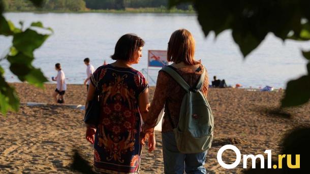 Для благоустройства центрального пляжа в Омске снесут 12 деревьев