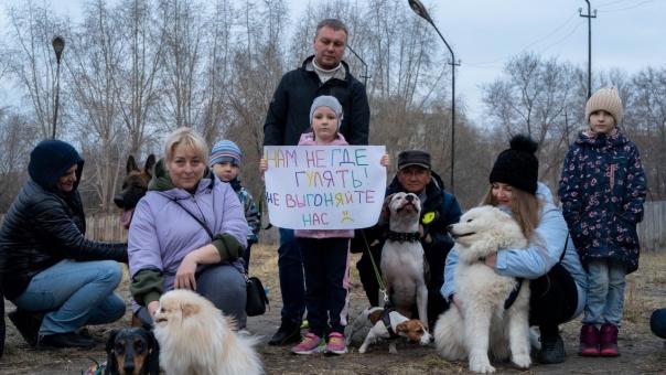 Жители омского Левобережья могут лишиться площадки для выгула собак