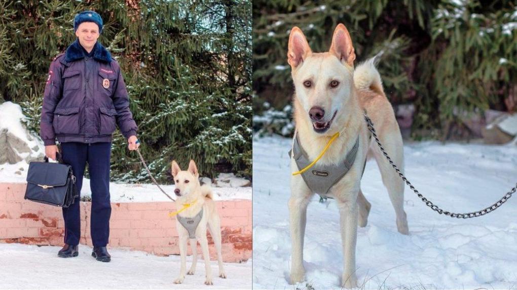 Омские полицейские спасли потерявшуюся собаку