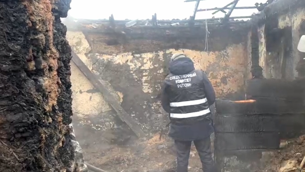 Причиной гибели многодетной семьи на пожаре в Белоусовке стала электропроводка