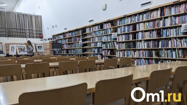 Правительство Омской области передало два здания литературному музею им. Достоевского