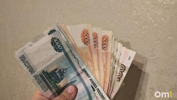 Многодетные семьи Новосибирской области получат выплаты к школе