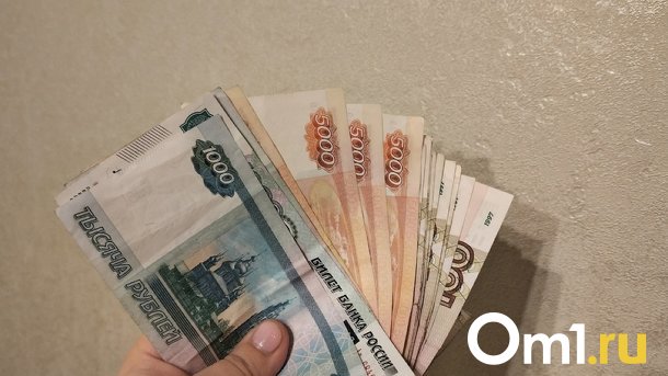 Многодетные семьи Новосибирской области получат выплаты к школе