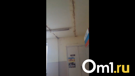 Запахи как в курятнике: школу в Омской области затопило снегом с помётом