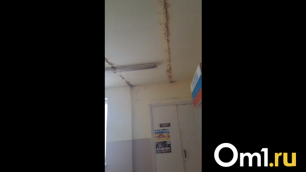 Запахи как в курятнике: школу в Омской области затопило снегом с помётом
