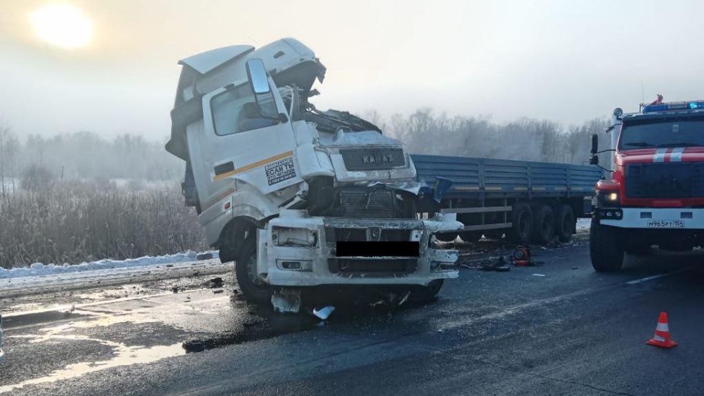 Один человек погиб в аварии трёх грузовиков в Новосибирской области