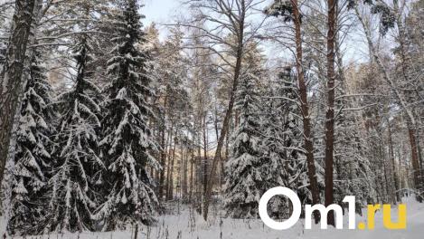 Морозы до -39 градусов возвращаются в Новосибирскую область