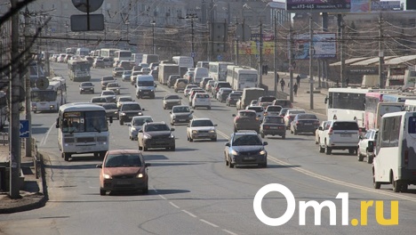 Омичку, машина которой сломала ноги дворнику, начали судить