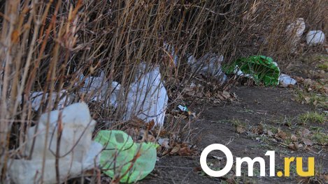 В мэрии рассказали, когда из Омска вывезут мешки с мусором, оставленным после субботников