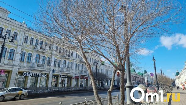 К выходным в Омскую область вернутся морозы и снегопады
