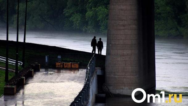 Сильный ветер и дожди накроют Омскую область в ближайшие два дня