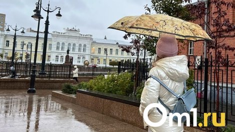 Холодно и мрачно: синоптики опубликовали неутешительный прогноз погоды в Омске