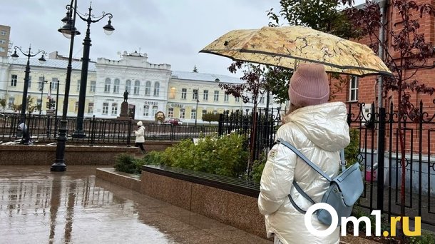 Холодно и мрачно: синоптики опубликовали неутешительный прогноз погоды в Омске