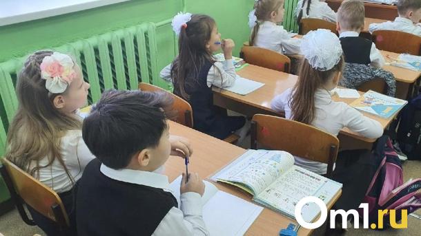 Школьные звонки в Новосибирске заменят на мелодии из классических произведений
