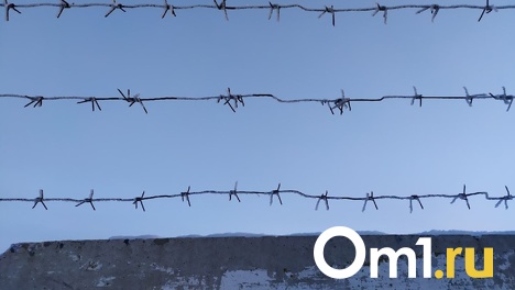 Экс-бухгалтеров омского МЧС отправили в колонию за начисление двойной зарплаты