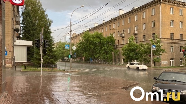 Дожди и сильный ветер обрушатся на Новосибирск в ближайшую неделю