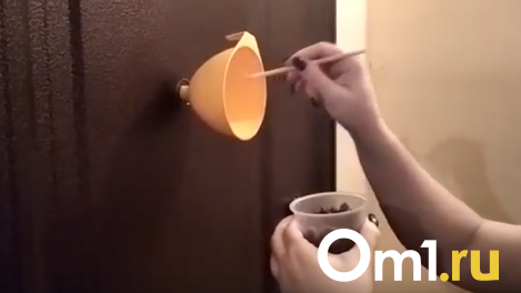 «Кормили через дверной глазок»: появилось видео спасения брошенной кошки в новосибирской квартире