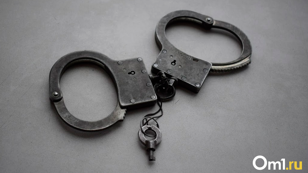 Избил мать и просил её обмануть полицейских: 39-летнего новосибирца осудили на 9 лет за убийство подруги
