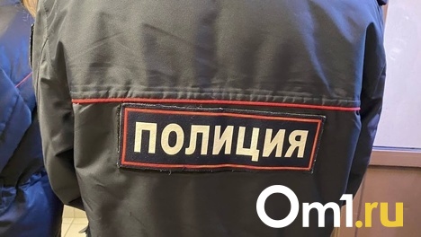 Сильная рука: омичка избила своего соседа