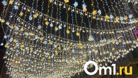 «Я научу, как держать отвёртку»: мэр Новосибирска Локоть поручил отремонтировать неработающие гирлянды