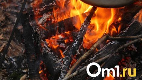 В Омской области установили третий класс пожарной опасности в шести районах