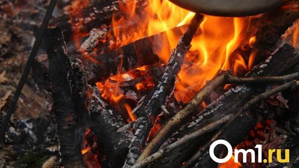 В Омской области установили третий класс пожарной опасности в шести районах