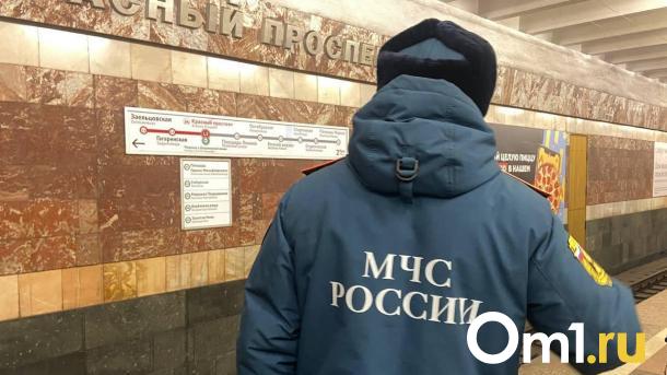 Три человека погибли на пожарах за прошедшую неделю в Омской области