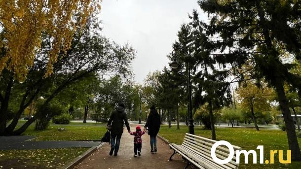На выходных в Омске потеплеет до +12