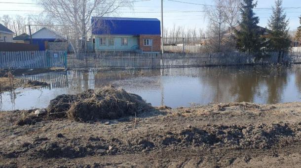 Число паводков в Новосибирской области выросло в полтора раза за неделю
