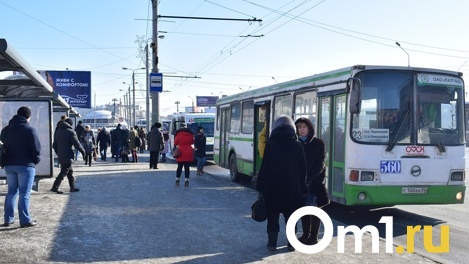 От 51 до 172 тысяч рублей. Озвучены доходы госслужащих, ответственных за общественный транспорт в Омске