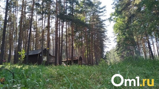 В Омской области продаётся база отдыха за 75 миллионов рублей