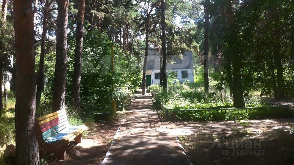 В Омске продают здания бывшей базы отдыха «Сибиряк»