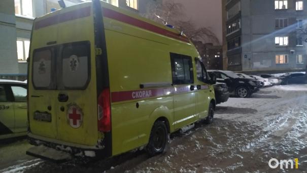 Двух девочек госпитализировали после катания на тюбинге под Новосибирском