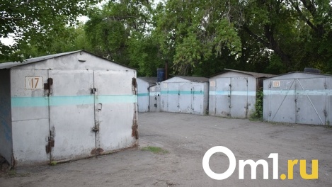 Приставил нож к животу матери и убил прохожего: омич, которого разорвало поездом, перед смертью сошёл с ума