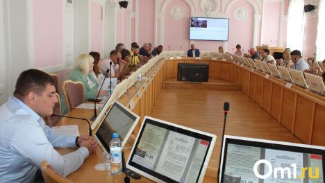 Депутаты горсовета предложили строить больше ливнёвок на Левом берегу
