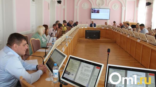 Депутаты горсовета предложили строить больше ливнёвок на Левом берегу
