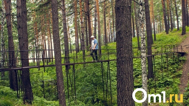 В горсовете раскритиковали состояние пешеходных мостов в Новосибирске