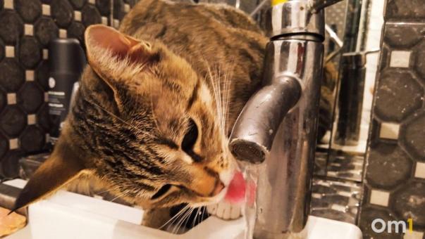 Омичи из двух округов через неделю останутся без воды