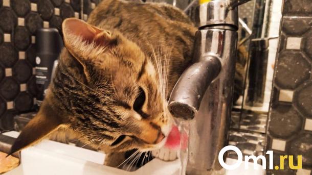 Омичи из двух округов через неделю останутся без воды