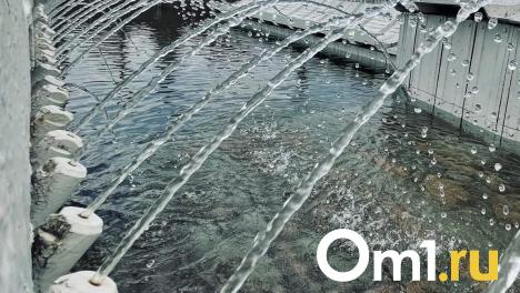 Омичи заметили обнажённого мужчину, купающегося в фонтане