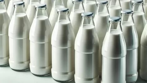 Омичей предупредили об опасной молочной продукции от пяти «предприятий-призраков»